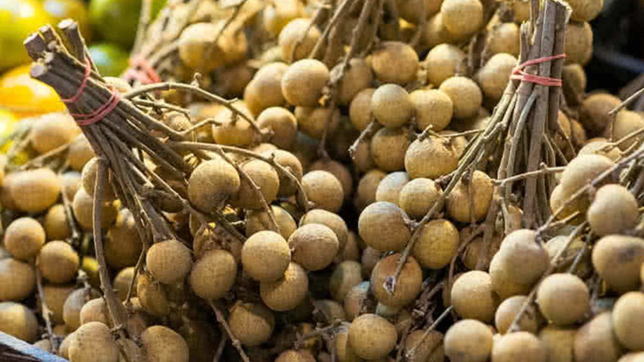 Traditional Village Fruit: আম বা লিচু নয়, গ্রাম বাংলার এই ফলই কোষ্ঠকাঠিন্যের সেরা দাওয়াই