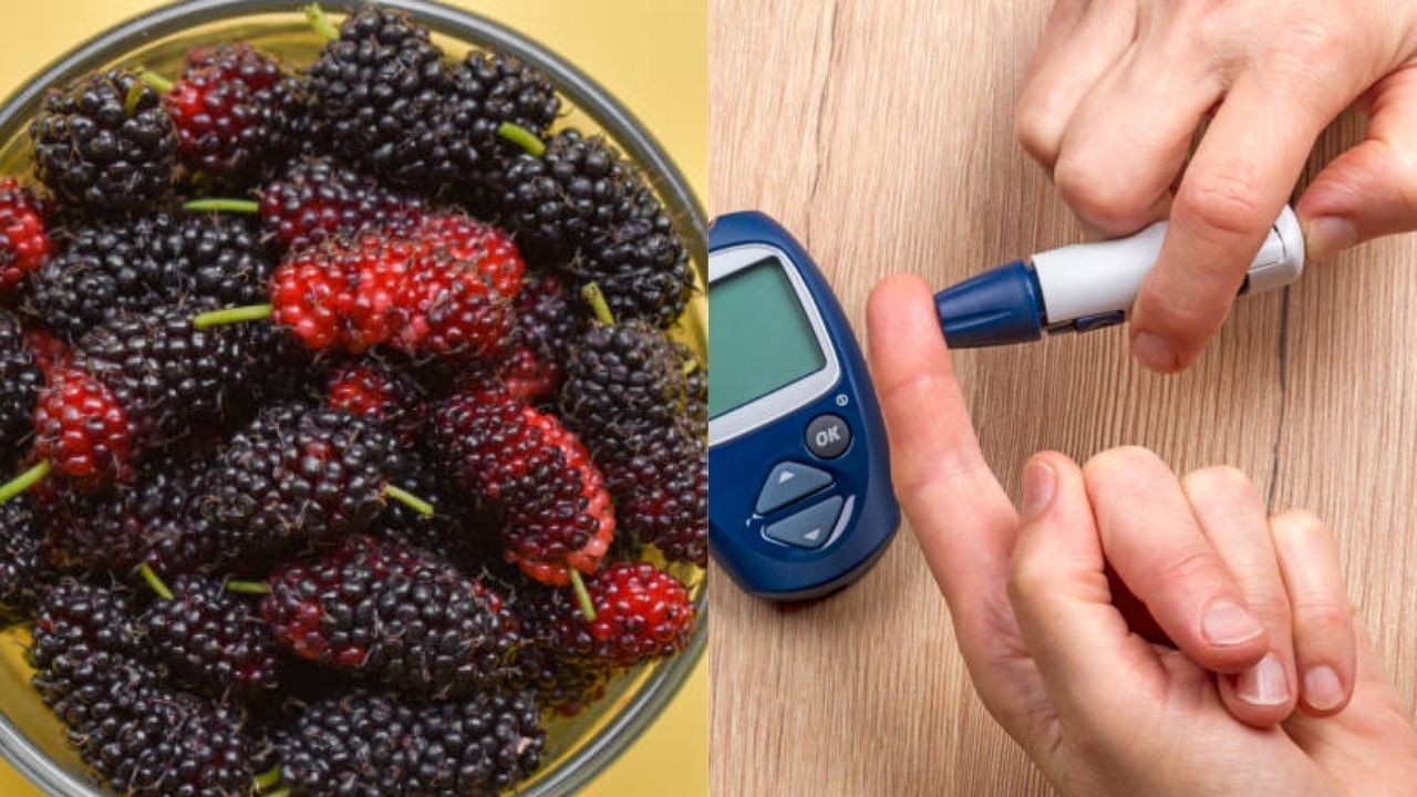 Diabetes-Mulberry: সুগার বেড়েই চলেছে? মালবেরির চায়ে ৯০ মিনিটে হবে 'ম্যাজিক'