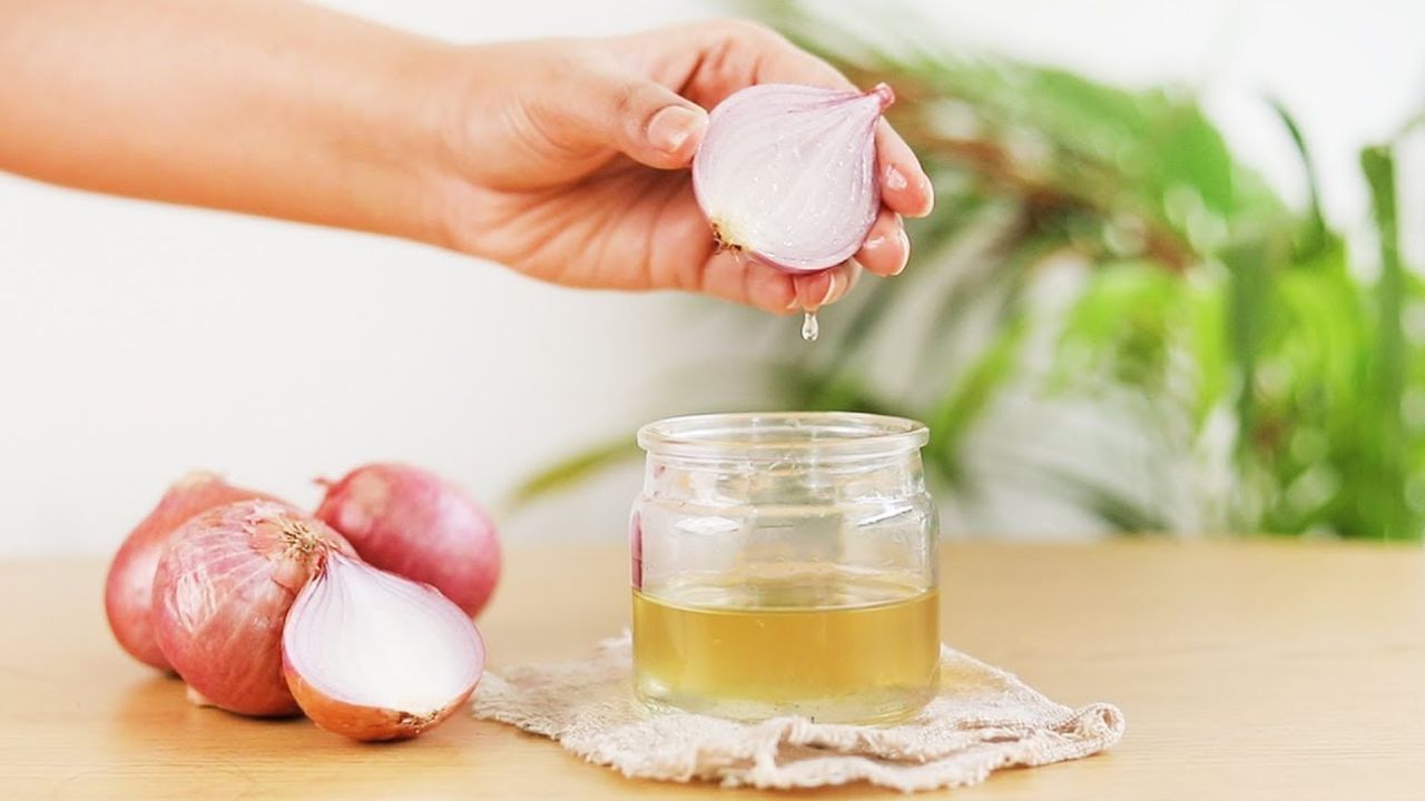 Red Onion Hair Oil: ঘন চুল পেতে সপ্তাহে ২ বার লাগান লাল পেঁয়াজের তেল! দোকানের নয়, ঘরেই বানানোর উপায় জানুন