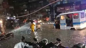 Siliguri Rain: শিলিগুড়িতে জল থইথই হোসিয়ারির দোকান, হাফ প্যান্টেই ভরসা মালিকের, রইল VIDEO