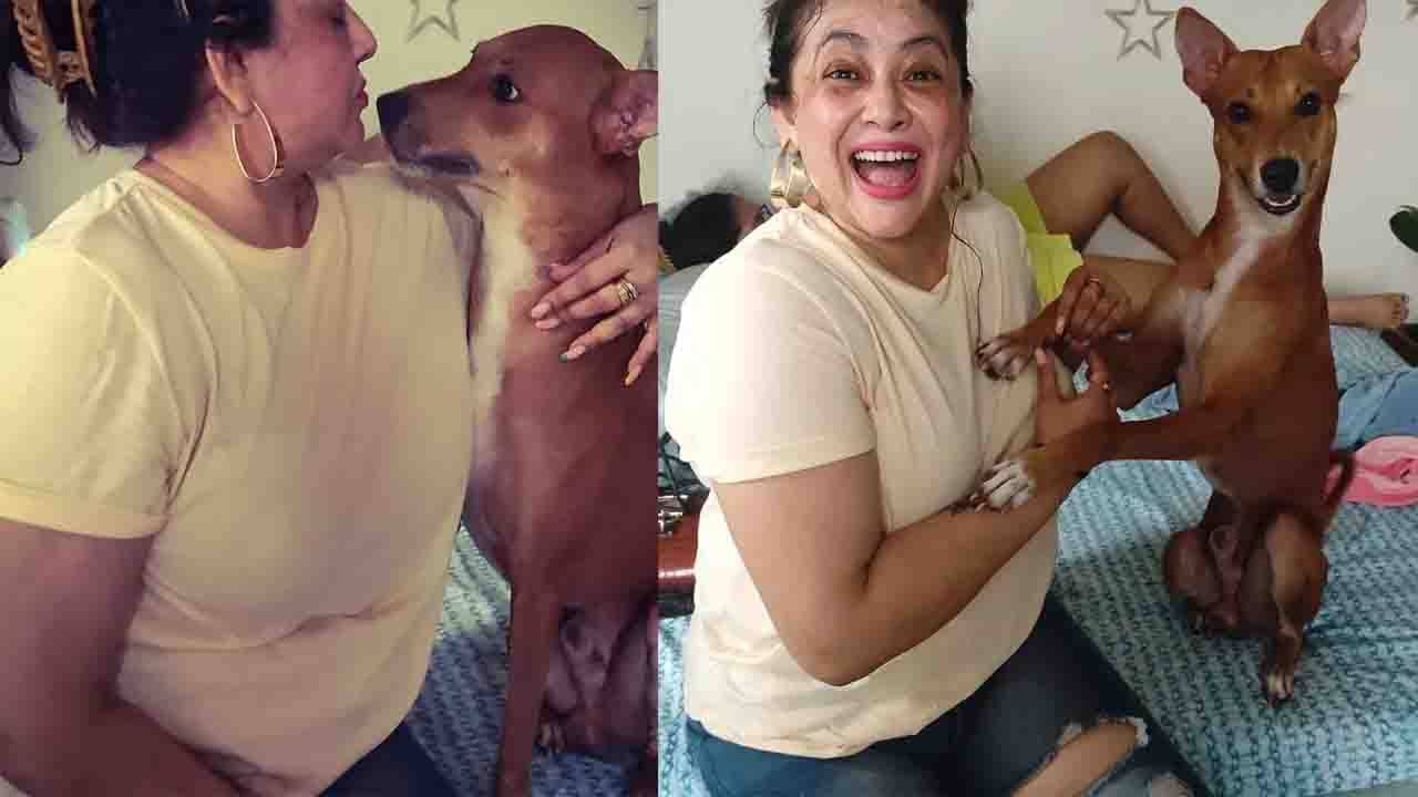 Sreelekha Mitra: যত বেশি পুরুষদের দেখি, তত বেশি ভালবেসে ফেলি আমার কুকুরদের: শ্রীলেখা মিত্র