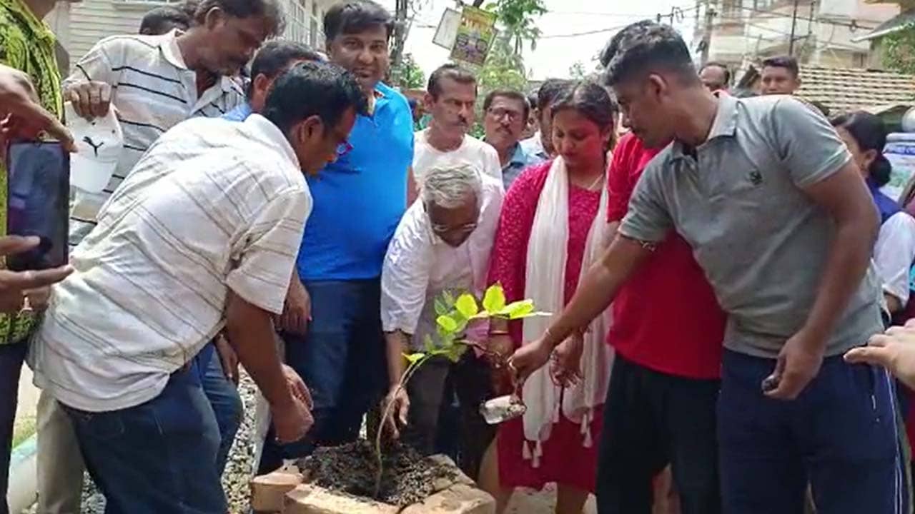 World Environment Day: বিশ্ব পরিবেশ দিবসে ইছামতীর পাড়ে তৃণমূলের বৃক্ষরোপণ, বসিরহাটে চারাগাছ বিতরণ আম আদমি পার্টির