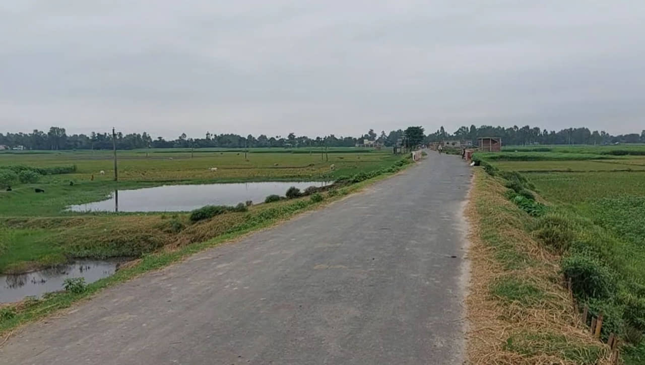 Corruption: বাস্তবে অস্তিত্ব নেই! রায়গঞ্জে খাতায় কলমে বসেছে ২২ লক্ষ টাকার গাছ