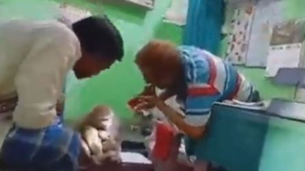 Viral Video of Monkey: কোলে একরত্তি, ক্লিনিকে এসে বাঁদর দেখাল ক্ষতস্থান, পেল চিকিৎসাও! দেখুন ভিডিয়ো