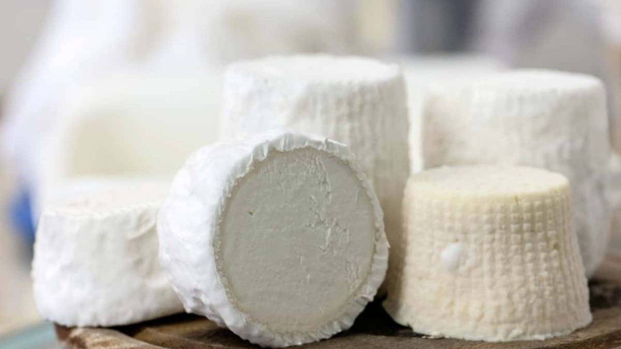 Most Expensive Paneer: প্রতি কেজির দাম ৭০,০০০ টাকা! বিশ্বের সবচেয়ে দামি পনির কোন প্রাণীর দুধ থেকে তৈরি হয়, জানেন?
