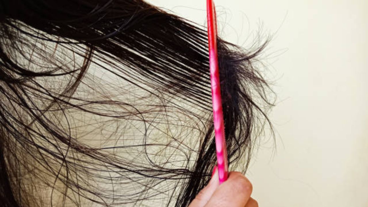 Detangle Hair: জট ছাড়াতে গিয়ে নাকানি-চোবানি খেতে হয়? এই ৫ উপায় মেনে চললে আর ছিঁড়বে না চুল