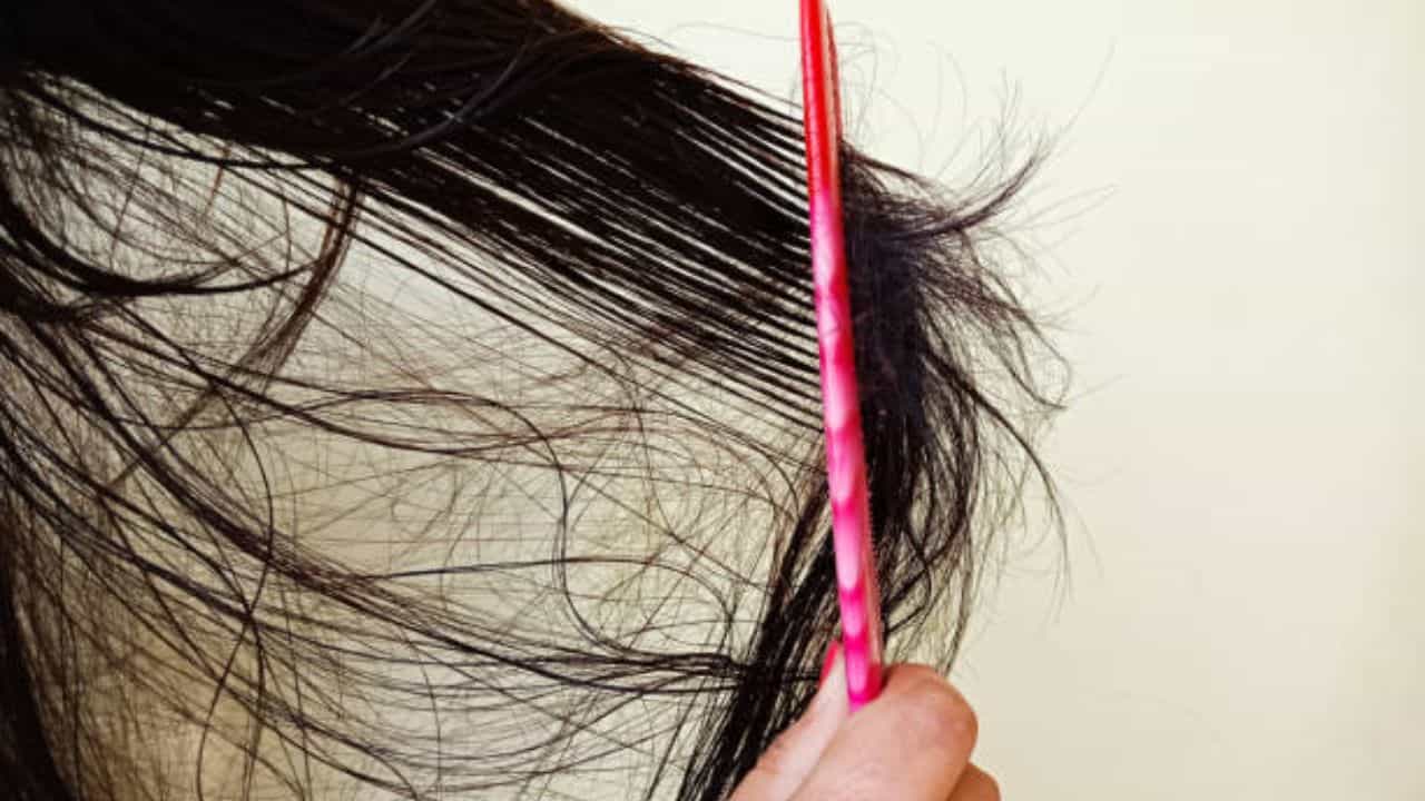 Destrangle Detangle Hair: জট ছাড়াতে গিয়ে নাকানি-চোবানি খেতে হয়? এই ৫ উপায় মেনে ...