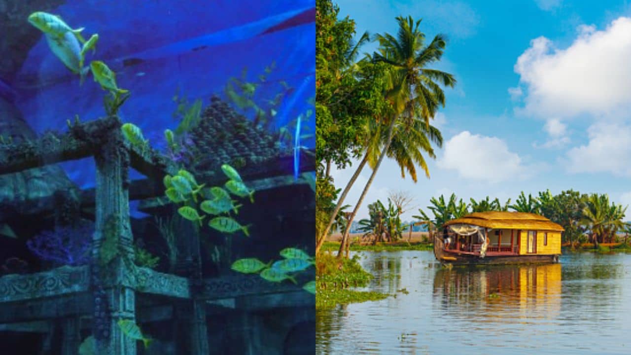 World’s Greatest Places of 2022: বিশ্বের শ্রেষ্ঠ পর্যটনকেন্দ্রের তকমা পেল ভারতের ২ শহর! তালিকায় কলকাতায় কত নম্বরে?