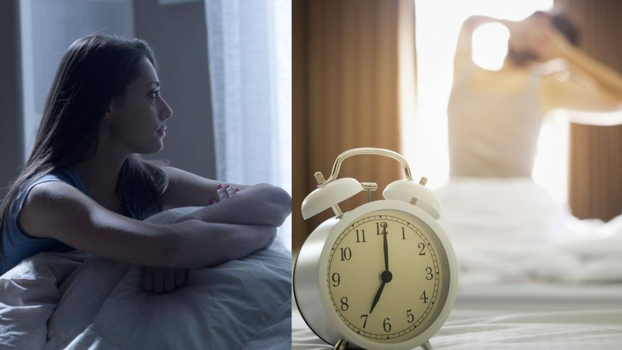 Health Benefits: ভোরের পাখি নাকি রাতের পেঁচা? কারা বেশি বুদ্ধিমান ও সফল হন জীবনে?