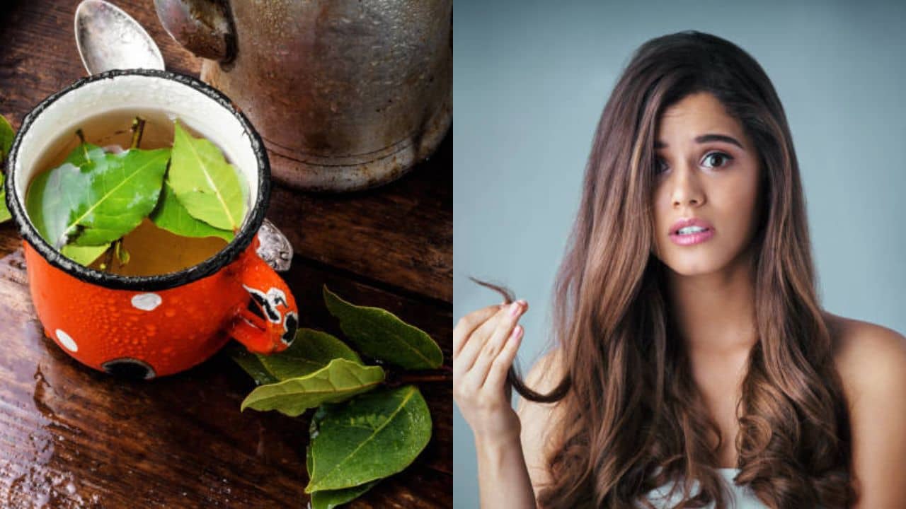 Bay Leaves: সাতদিনের মধ্যে বন্ধ হবে চুল পড়া, যদি এভাবে ব্যবহার করেন তেজপাতা