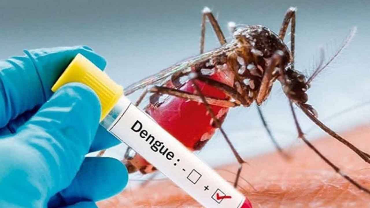 Dengue in West Bengal: করোনার সঙ্গে চিন্তা বাড়াচ্ছে ডেঙ্গিও, জরুরি বৈঠক বসল নবান্নে