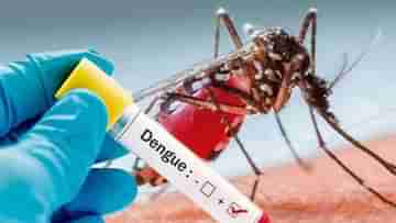 Dengue Awareness: ডেঙ্গি মোকাবিলায় গুরুত্বপূর্ণ বৈঠক কলকাতা পুরনিগমের, নেওয়া হয়েছে একগুচ্ছ সিদ্ধান্ত