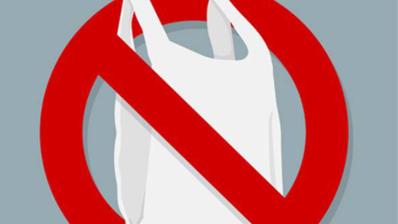 Plastic Ban: বন্ধ হয়েছে প্লাস্টিক, এখন বিক্রেতাদের ভরসা কী জানেন?
