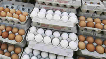 Egg Price Hike: মধ্যবিত্তের পাতে এবার ডিমও কি জুটবে না! একমাসে দাম বাড়ল অনেকটাই