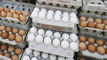 Egg Price Hike: মধ্যবিত্তের পাতে এবার ডিমও কি জুটবে না! একমাসে দাম বাড়ল অনেকটাই
