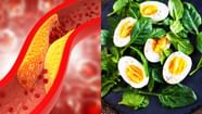 Eggs Cholesterol 