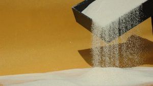 Restrictions On Flour Exports : গমের উপর নিষেধাজ্ঞার পর আটা রফতানিতে রাশ টানছে কেন্দ্র, জারি নয়া নির্দেশিকা