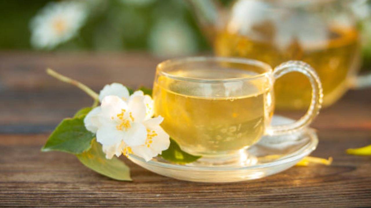 White Tea: আর গ্রিন টি নয়, ক্যান্সার-ডায়াবেটিস থেকে মুক্তি পেতে প্রতিদিন চুমুক দিন হোয়াইট টি-তে!