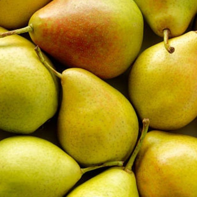 Health Benefits of Pears: ওজন কমাতে চান? নিয়ম করে রোজ একটা ন্যাশপাতি খান