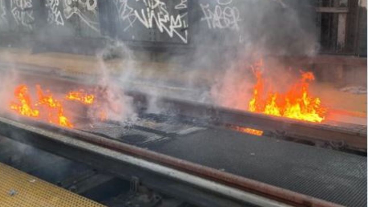 Fire In Railway Track : তাপমাত্রার পারদ চড়ছে, আগুন জ্বলল লন্ডনের রেলওয়ে ট্র্যাকে