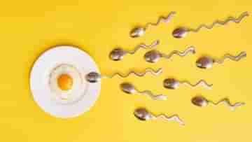 Increase Sperm Count: স্পার্ম কাউন্ট কম হলে বুঝবেন কীভাবে? এই ৫ অভ্যাসকে দূরে রাখলেই বাড়বে কোটি কোটি স্বাস্থ্যবান শুক্রাণু