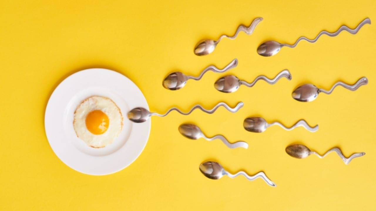 Increase Sperm Count: স্পার্ম কাউন্ট কম হলে বুঝবেন কীভাবে? এই ৫ অভ্যাসকে দূরে রাখলেই বাড়বে কোটি কোটি স্বাস্থ্যবান শুক্রাণু