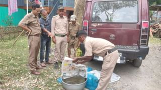 Snake: চা-বস্তিতে অজগরের সঙ্গে সেলফি, তুমুল উচ্ছ্বাস, খেতে হল কামড়ও… সচেতনতার অভাবকেই দুষছেন সর্প বিশেজ্ঞরা