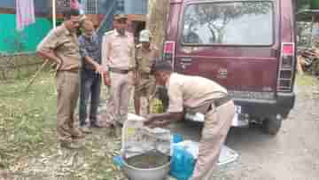 Jalpaiguri: খোলা বাজারে বিক্রি হচ্ছিল ২০ কেজি কচ্ছপের মাংস, বন দফতরে খবর যেতেই...