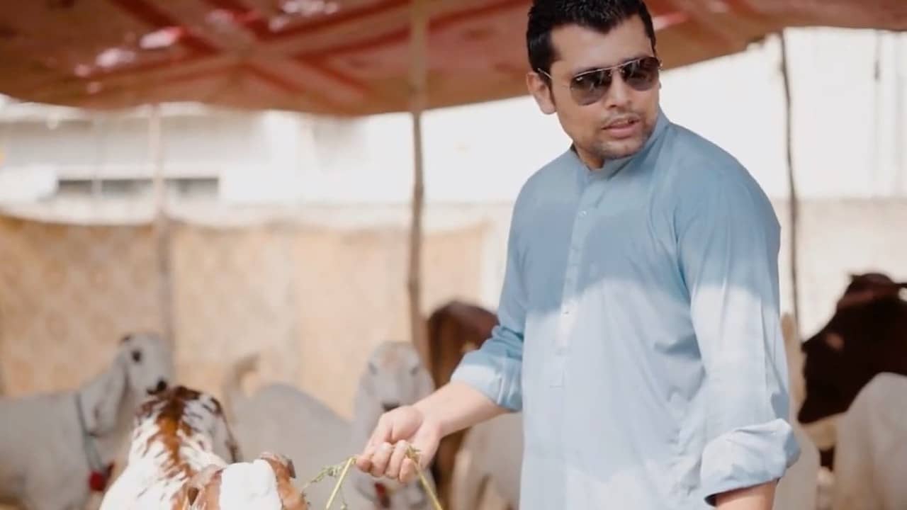 Pakistan Cricket: পাক ক্রিকেটারের কুরবানির ছাগল চুরি বাড়ির সামনে থেকে