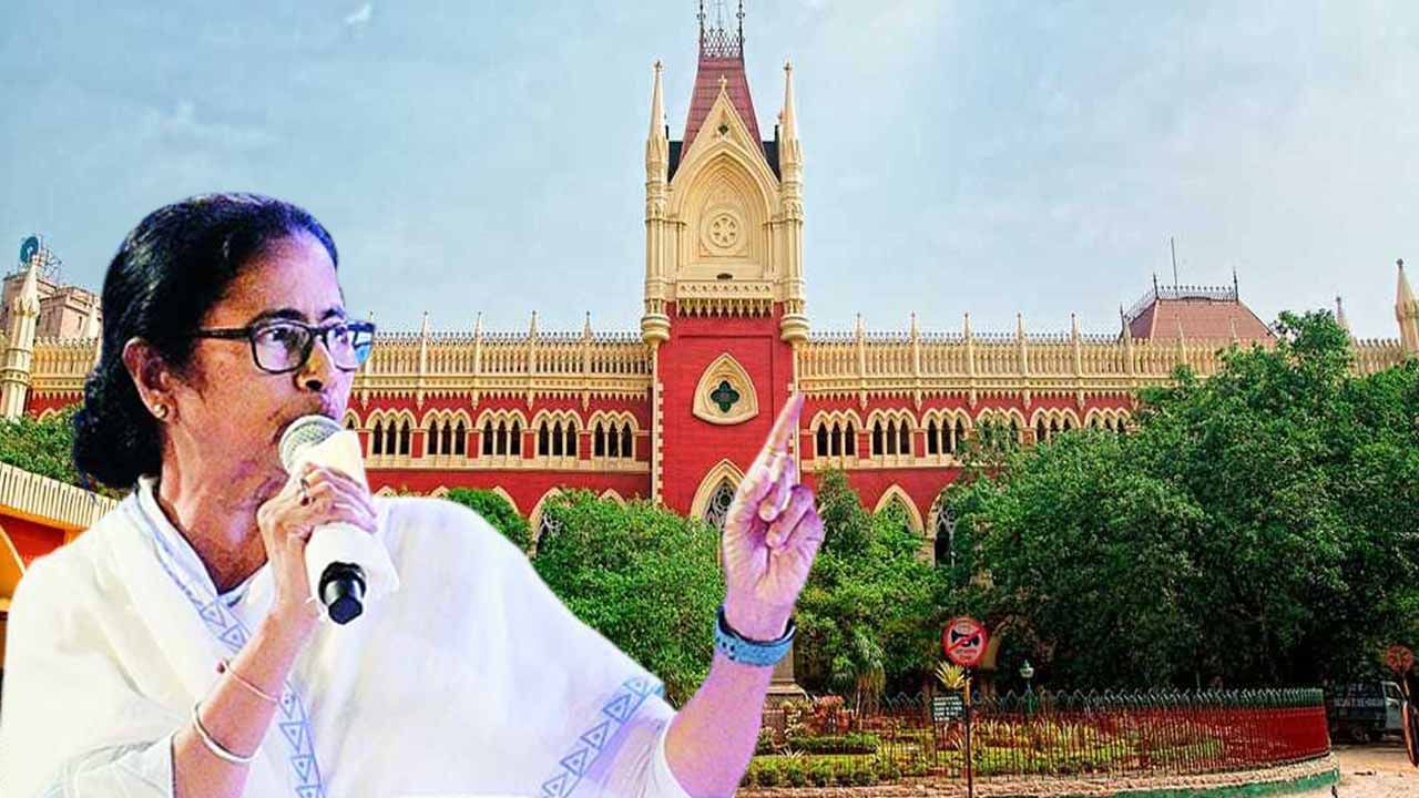 Mamata Banerjee: 'মমতার মন্তব্যে কিছু যায় আসে না...বিচারব্যবস্থা এত ঠুনকো নয়,' কড়া পর্যবেক্ষণ আদালতের