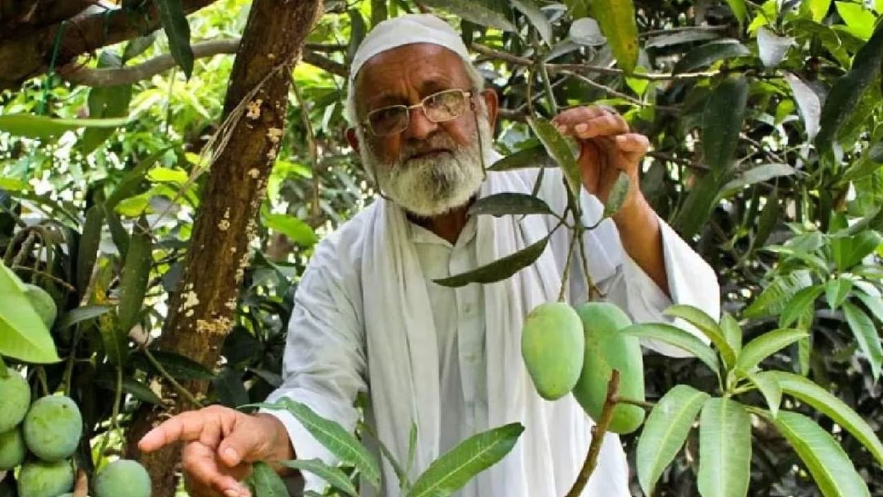 India's Mango Man : ৩০০ 'সন্তানের' বাবা, গাছে ফলান 'ঐশ্বর্য', 'সচিন' আম!