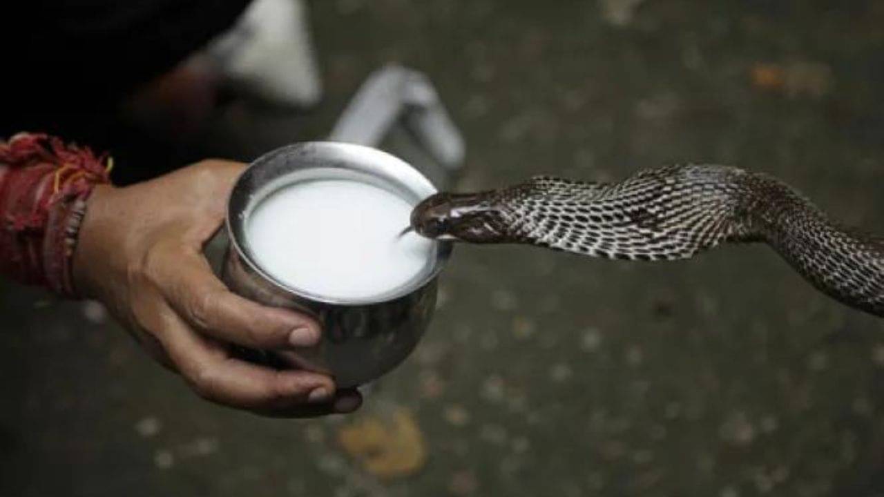 Nag Panchami 2022: কেন নাগ পঞ্চমীর দিন সাপকে দুধ দেওয়া হয়? জেনে নিন বৈজ্ঞানিক ব্যাখ্যা
