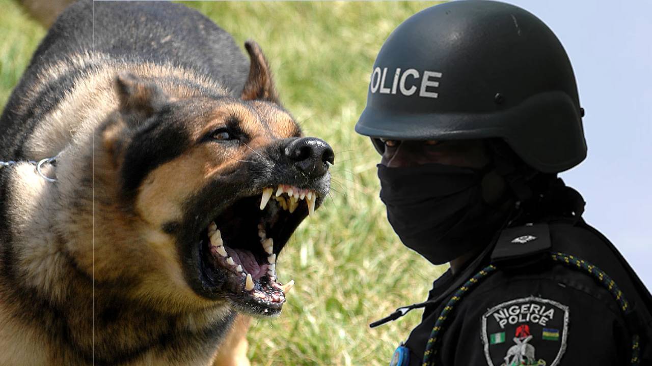 গারদের মধ্যে ঘেউ ঘেউ করছেন নগ্ন যুবতী! ভিডিও ভাইরাল, কী জবাব দিল পুলিশ?