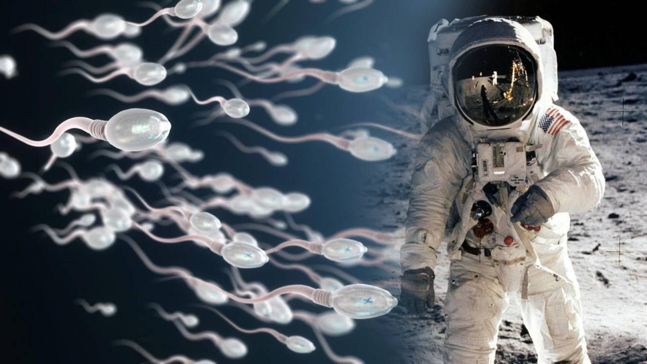 Masturbation in space: Astronauts are forbidden to masturbate! 3 people at  once in space… | Astronauts warned not to masturbate in space as one  session can impregnate 3 females LNU News | LNU News