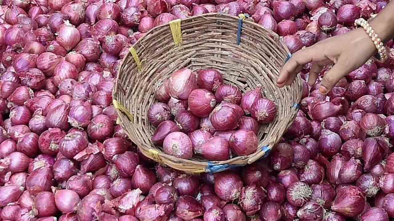 Onion Price: এবার মিলবে স্বস্তি! পেঁয়াজের দাম নিয়ন্ত্রণে রাখতে বড় পদক্ষেপের পথে মোদী সরকার