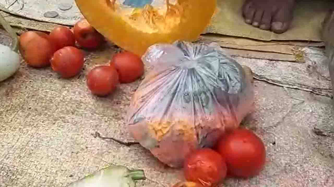 Plastic Ban: জোগান নেই, জানাও নেই! প্লাস্টিকে নিষেধাজ্ঞার প্রথম দিন কোন ছবি ধরা পড়ল কলকাতায়?