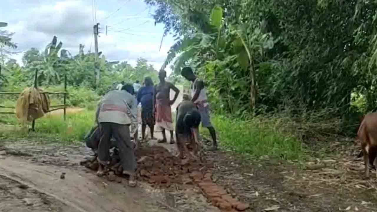 Road Damage: প্রশাসনের অপেক্ষায় আর কতদিন? ইট-পাথর নিয়ে রাস্তায় নামলেন গ্রামবাসীরাই