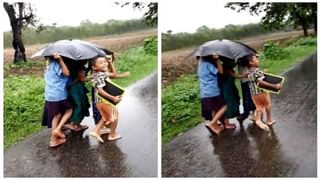 Viral Video: চিল চিৎকার করে অবাক অঙ্গভঙ্গিমায় ফল বিক্রি করছেন ইনি, নেটিজ়েনরা খুব হাসছেন…