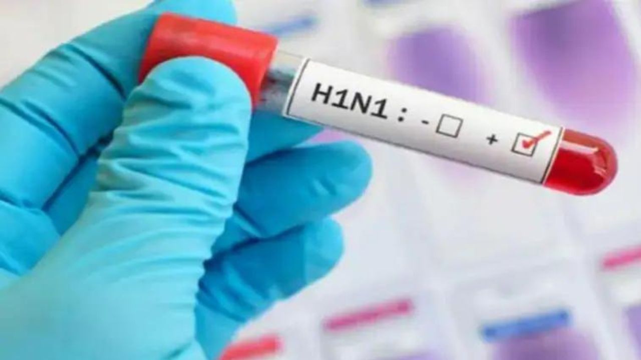 Swine Flu in India: করোনা, মাঙ্কিপক্সের পর এবার সোয়াইন ফ্লু নিয়ে বাড়ছে উদ্বেগ! কারা বেশি আক্রান্ত হবেন, সংক্রমণ এড়াতে কী করবেন?