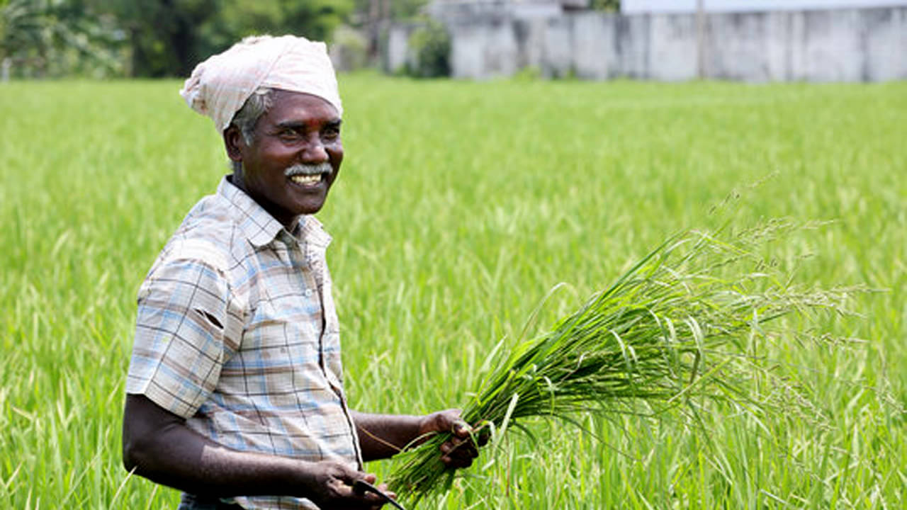 ICAR Report: শীর্ষে বাংলা! ২০০ শতাংশের বেশি বাড়ল বাংলার কৃষকদের আয়, দরজা সার্টিফিকেট কেন্দ্রের