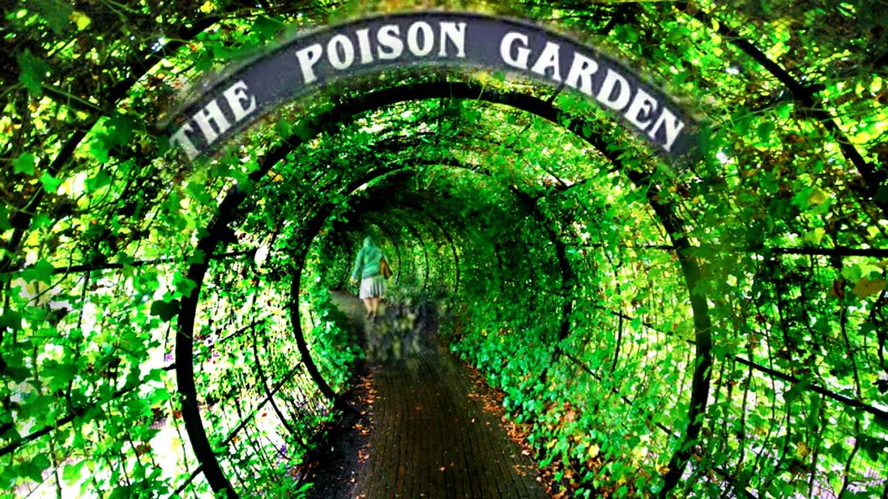Poison Garden: গাছ নয় সাক্ষাৎ জল্লাদ! এই বাগানে ঢুকলে আজীবনের জন্য হতে পারেন পঙ্গু, বাজতে পারে মৃত্যু ঘণ্টা