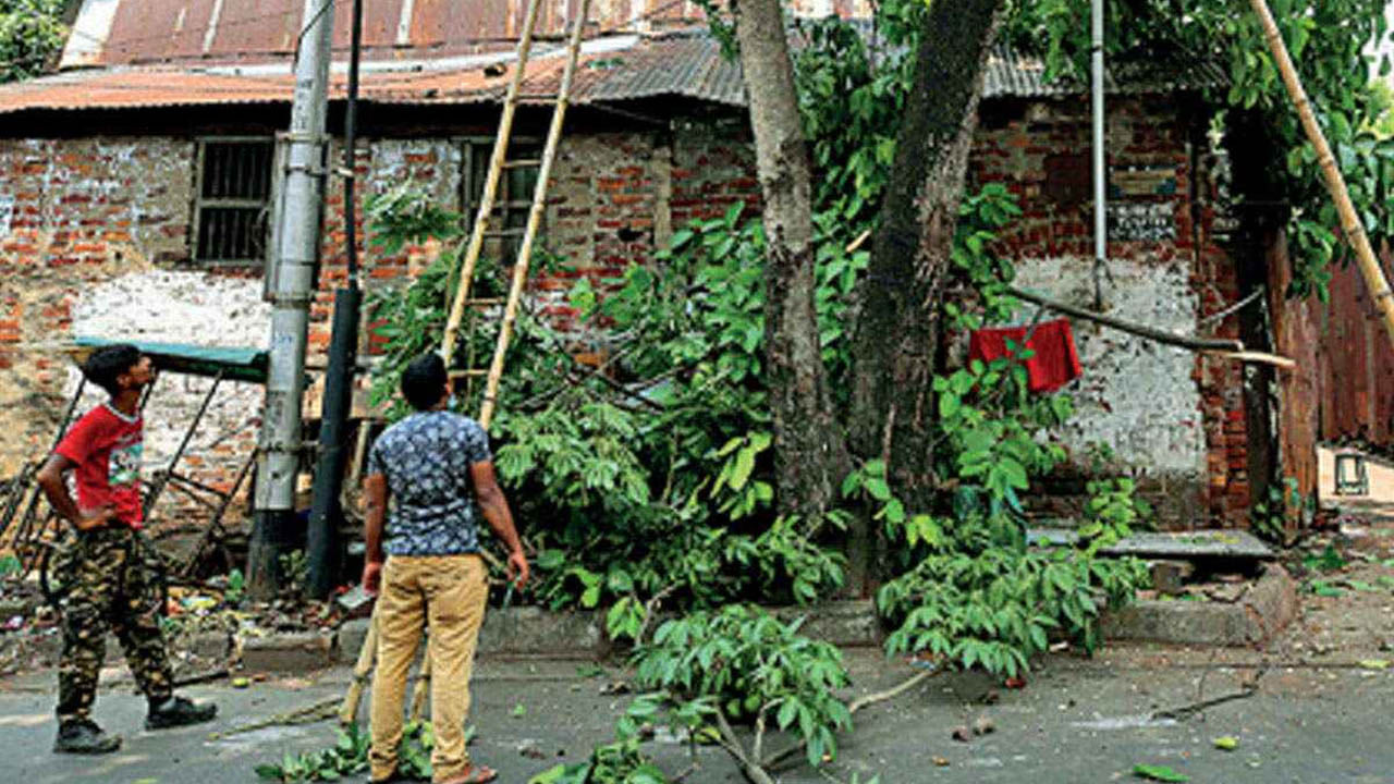Environment: নিজের বাড়ির গাছ কাটতেও নিতে হবে সরকারি অনুমতি, বড় ঘোষণা বনমন্ত্রীর Environment: নিজের বাড়ির গাছ কাটতেও নিতে হবে সরকারি অনুমতি, বড় ঘোষণা বনমন্ত্রীর