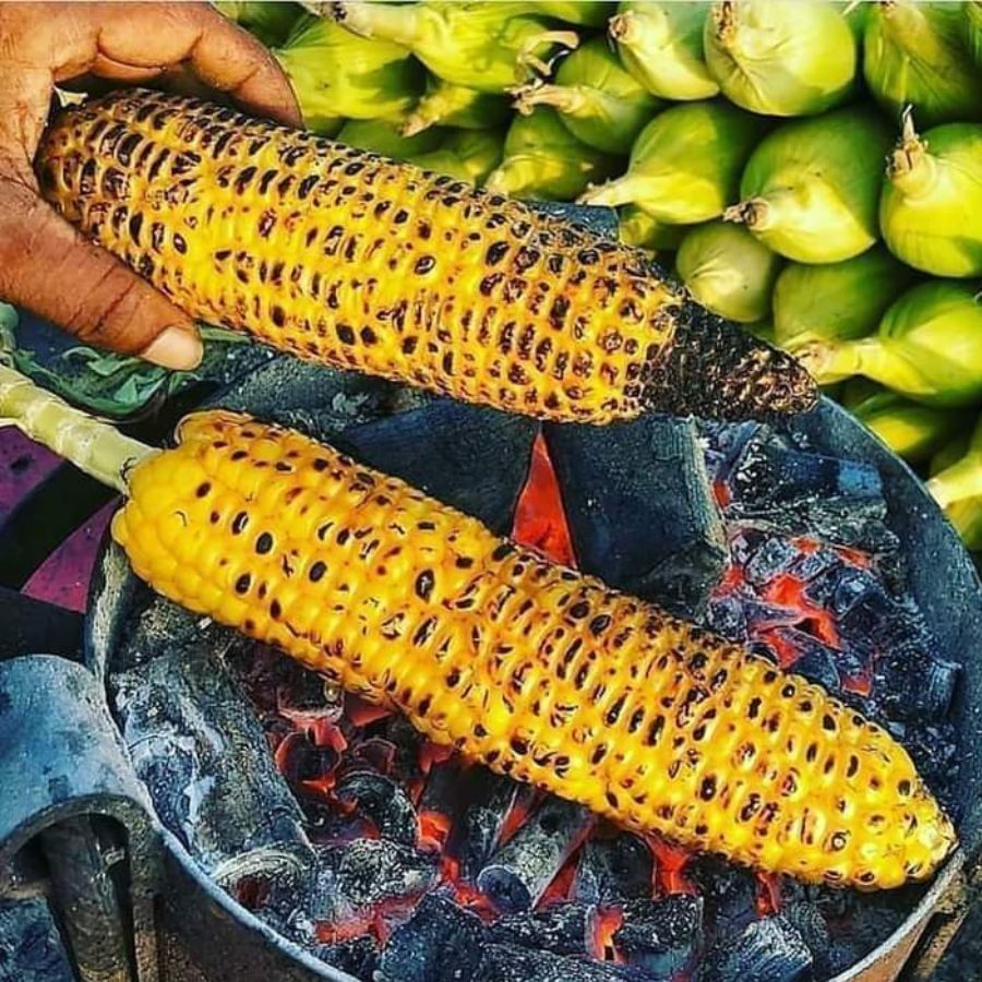 কোষ্ঠকাঠিন্য তাড়ায়: আজকালকার দিনে ডায়েটে ফাইবারের মাত্রা এতটাই কম থাকে যে প্রায় প্রত্যেক ব্যক্তিই কোষ্ঠকাঠিন্যের সমস্যায় ভোগেন। দেখা গিয়েছে পাতে নিয়মিত ভুট্টা রাখলে তা কোষ্ঠকাঠিন্যের সমস্যা কমাতে পারে। ভুট্টা খাওয়ার ক্ষেত্রেও কোনও সমস্যা নেই। ভুট্টা সেকে নিয়ে তার সঙ্গে লেবু নুন মাখিয়ে নিলেই তা দুর্দান্ত স্ন্যাক্স হয়ে যায়। এছাড়া ভুট্টা সেদ্ধ করেও খাওয়া যায়।