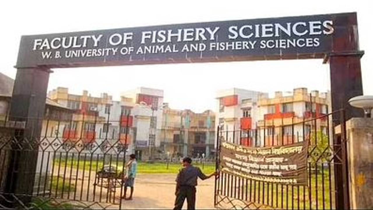 Jobs In WBUAFS : মাসিক ৩৫ হাজার টাকার বেতনে রাজ্যের বিশ্ববিদ্যালয়ে নিয়োগ, লিখিত পরীক্ষা ছাড়াই মিলবে চাকরি