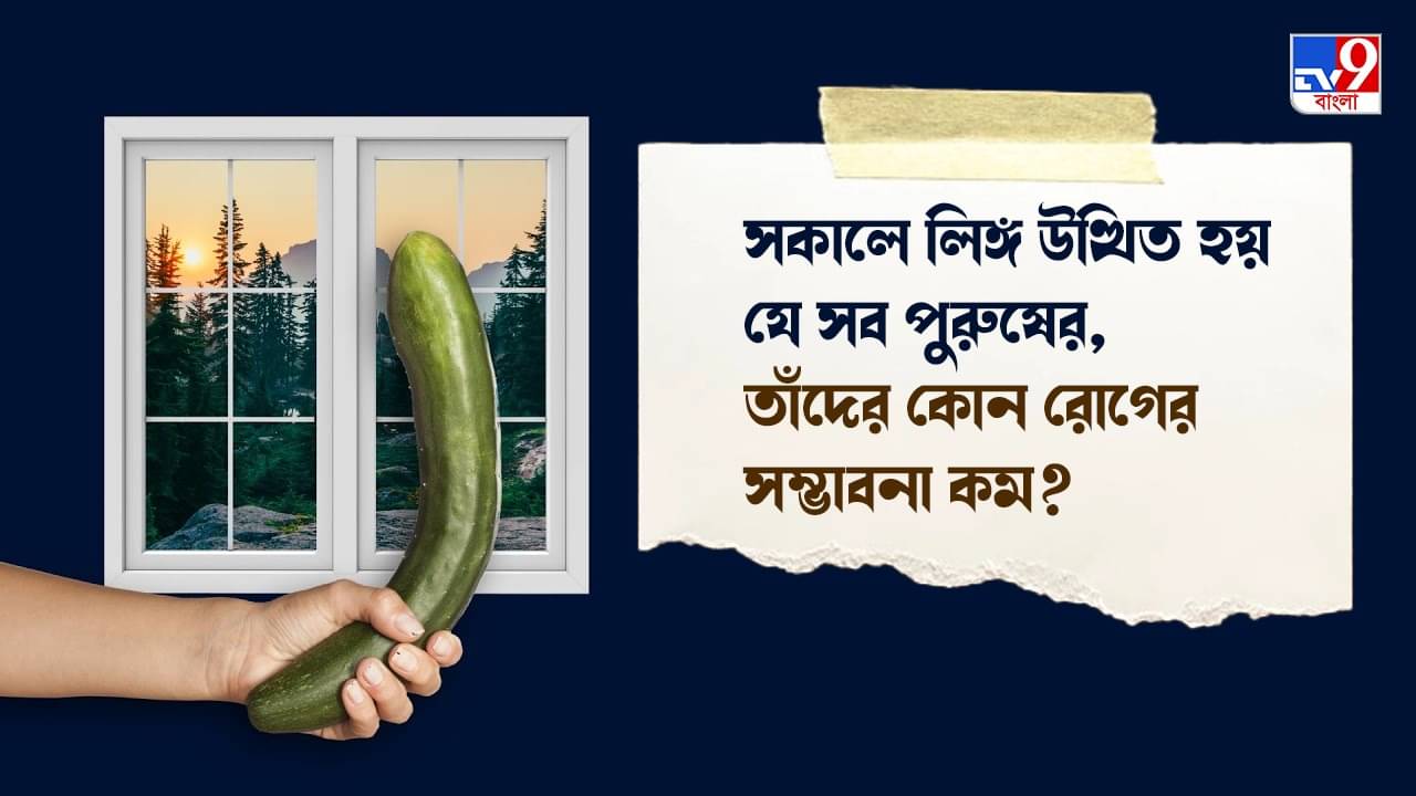 Morning Wood: সকালে লিঙ্গ উত্থিত হয় যে সব পুরুষের, তাঁদের কোন রোগের সম্ভাবনা কম?