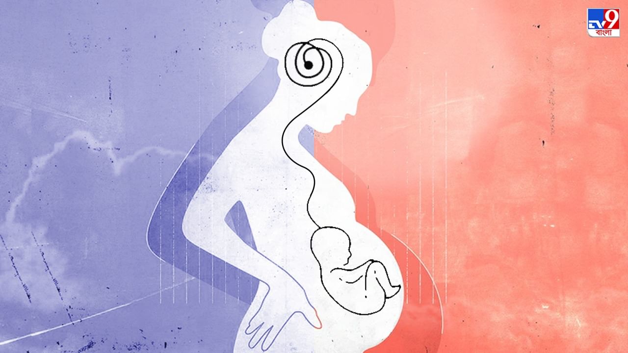 Pregnancy And Women: গর্ভবতী অবস্থায় সংকুচিত হয়ে যায় মহিলাদের মস্তিষ্ক, আর কী বলছে বিজ্ঞান!