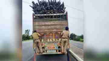 Wood Smuggling : বাঁশ বোঝাই লরি, তল্লাশি চালাতেই চক্ষু চড়কগাছ বন দফতরের