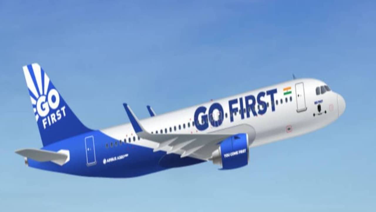Go First Flight : গত দুমাসে তিনবার, পাখির সঙ্গে ধাক্কা খেয়ে আহমেদাবাদে ফিরল গো ফার্স্টের বিমান