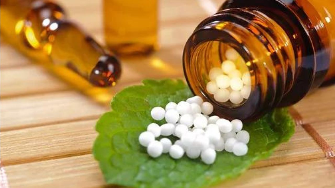 Homeopathy: নাক দিয়ে সর্দি, সঙ্গে ভয়ঙ্কর কাশি? হোমিওপ্যাথিক ওষুধে পান 'ম্যাজিক' সমাধান! Homeopathy: নাক দিয়ে সর্দি, সঙ্গে ভয়ঙ্কর কাশি? হোমিওপ্যাথিক ওষুধে পান 'ম্যাজিক' সমাধান!