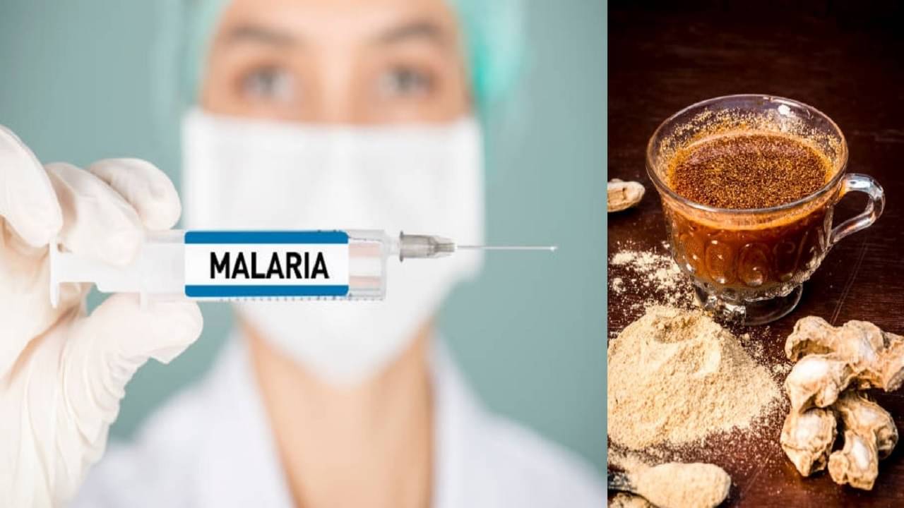 Malaria: বাড়ছে ম্যালেরিয়ার প্রকোপ, মশারি টাঙানোর পাশাপাশি আর যা কিছু মেনে চলবেন...